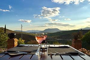 Sundowner in the garden